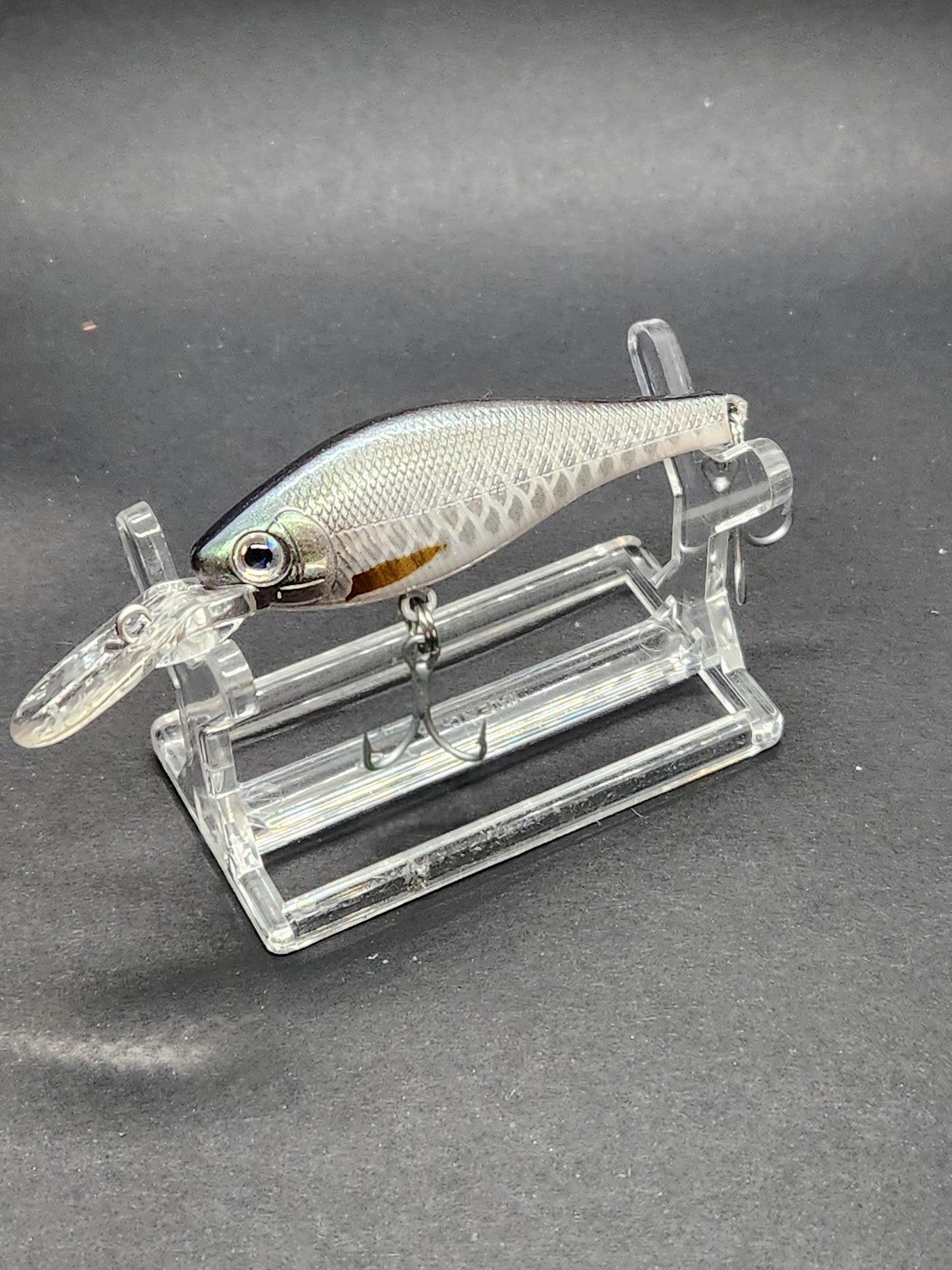 SILVER MULLET / KM12