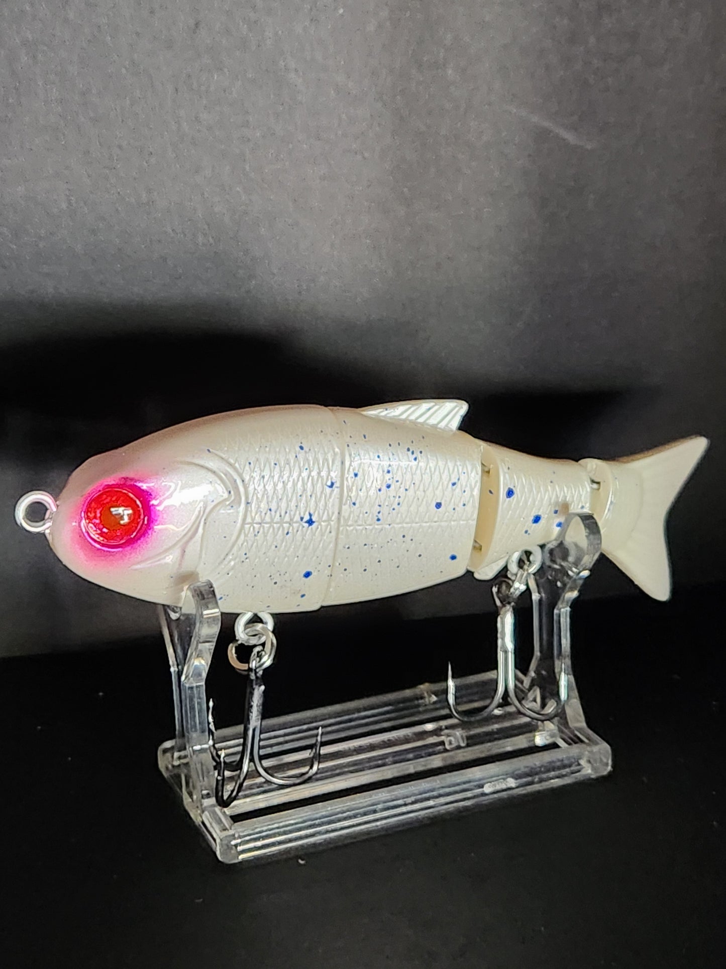BABY BULL   RED EYE