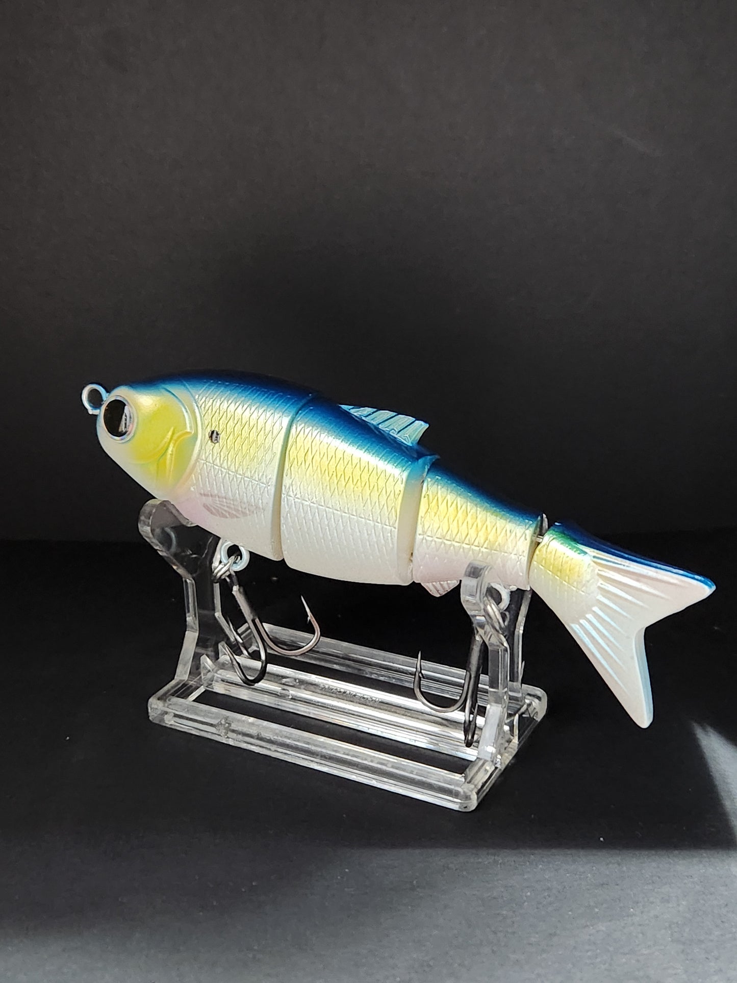 BABY BULL/ BLUE BACK HERRING