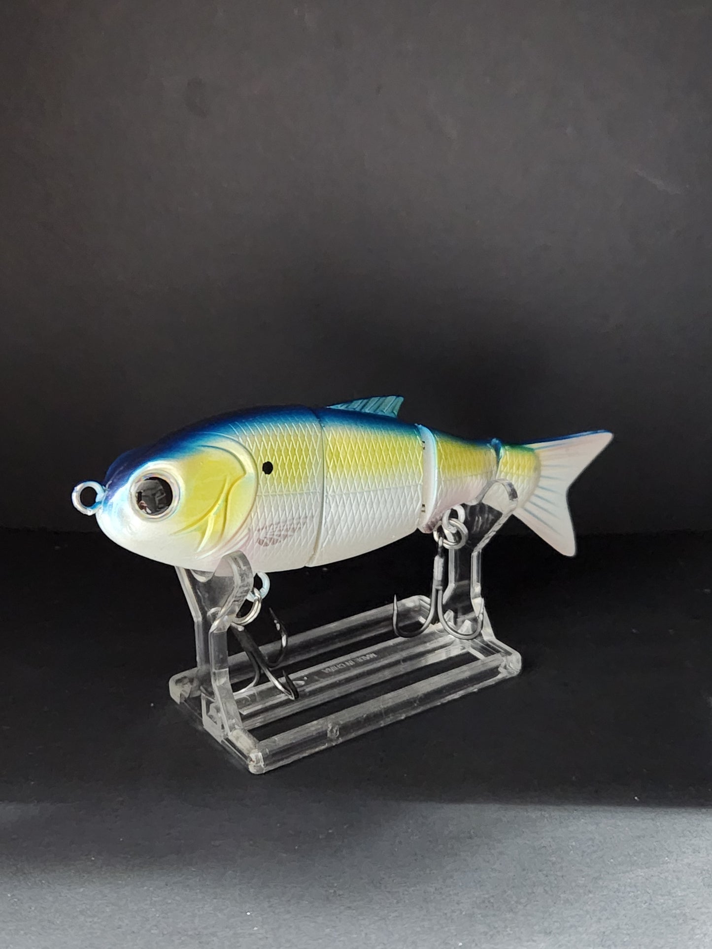 BABY BULL/ BLUE BACK HERRING