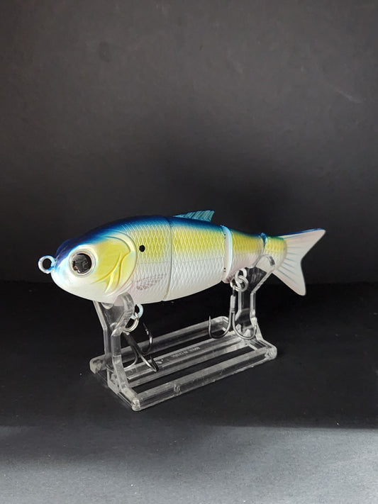 BABY BULL/ BLUE BACK HERRING