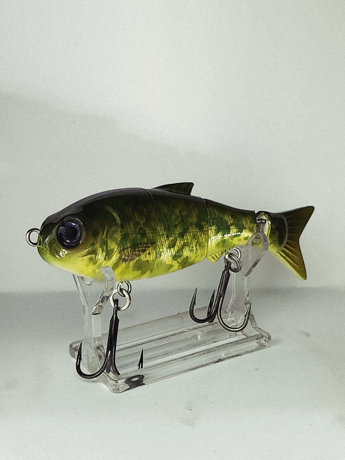 BABY BULL/MURRAY COD