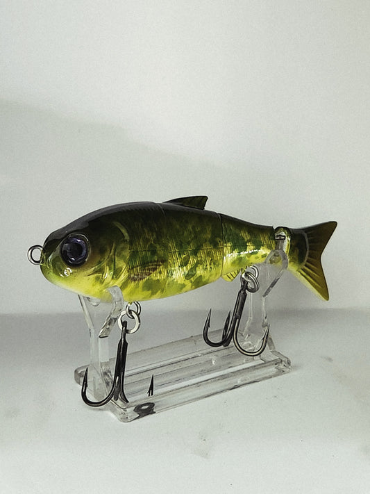 BABY BULL/MURRAY COD