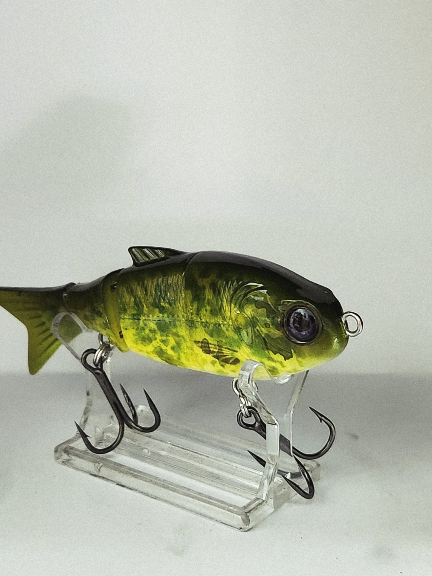 BABY BULL/MURRAY COD