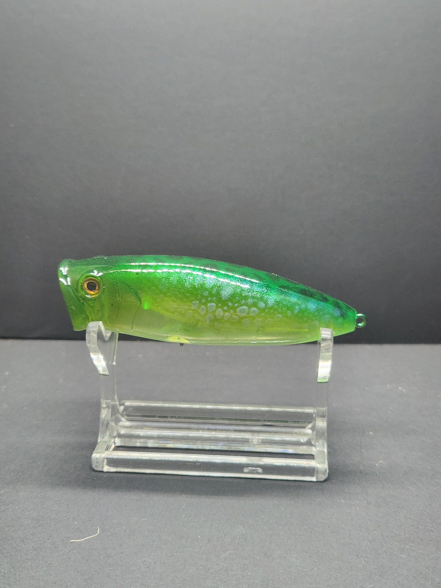 Krayz Frog /kp1