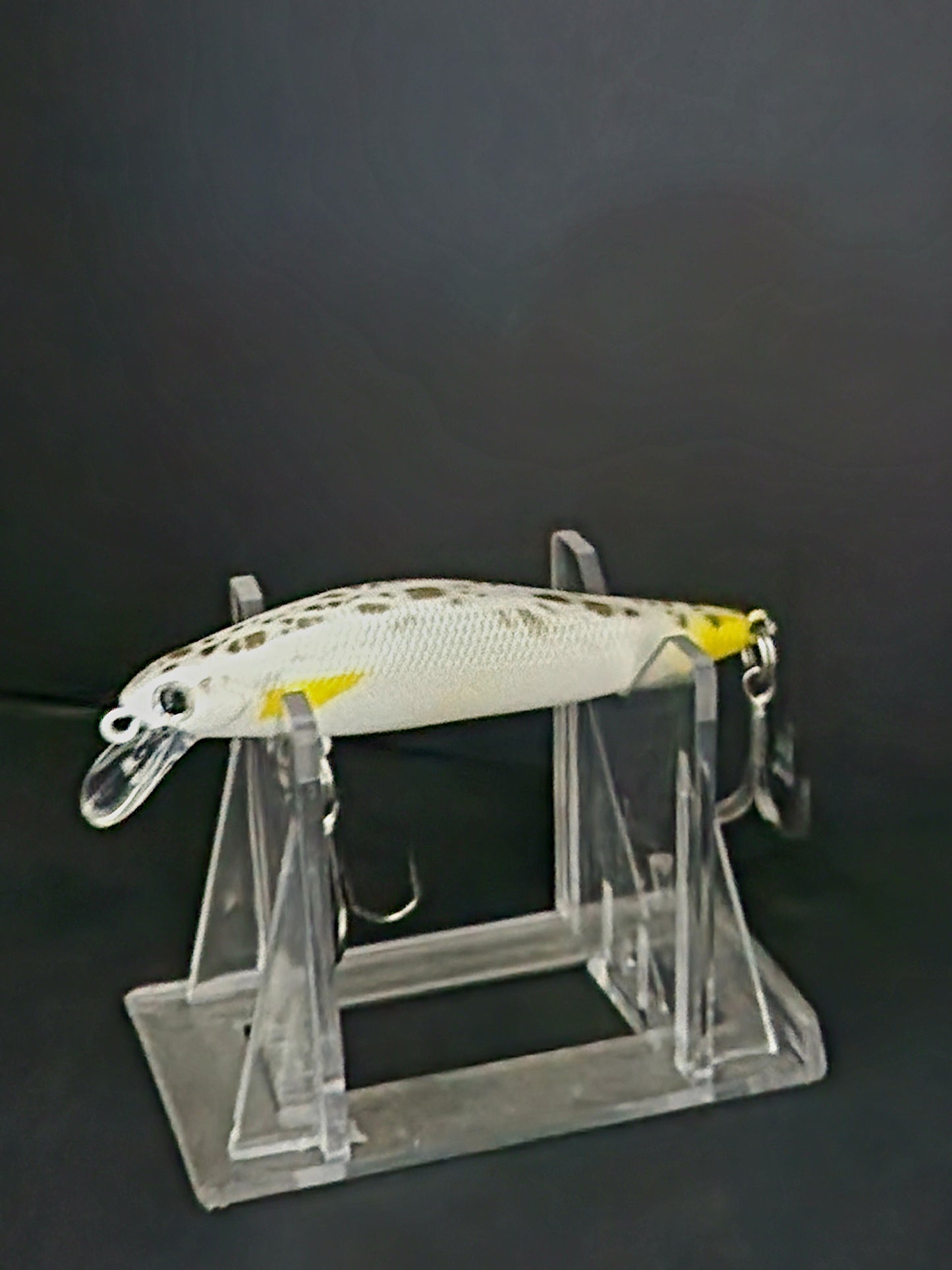 KRAYZ WHITING/ KM4