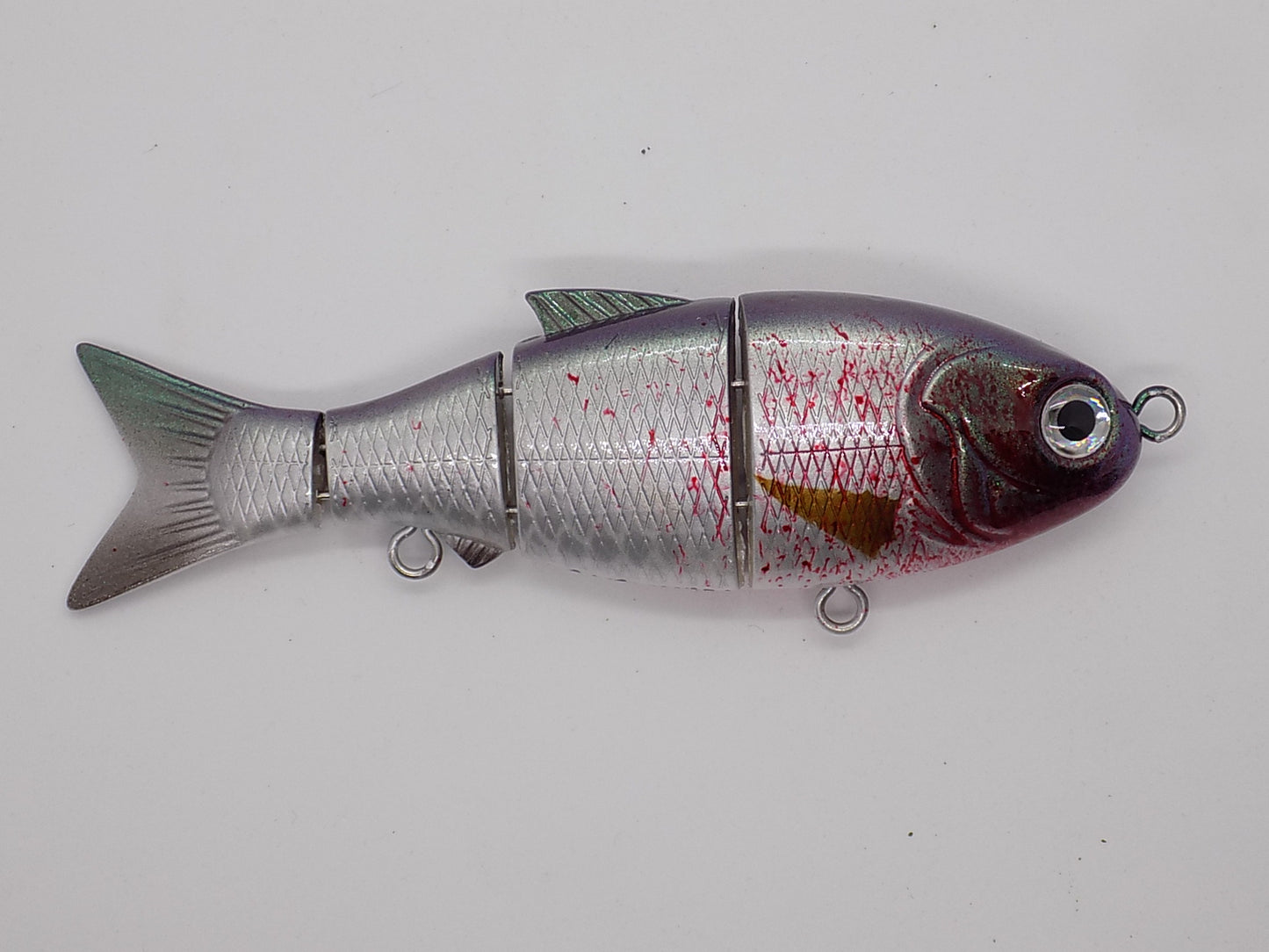 BLEEDING MULLET/ Baby bull
