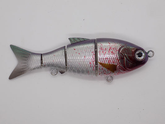 BLEEDING MULLET/ Baby bull