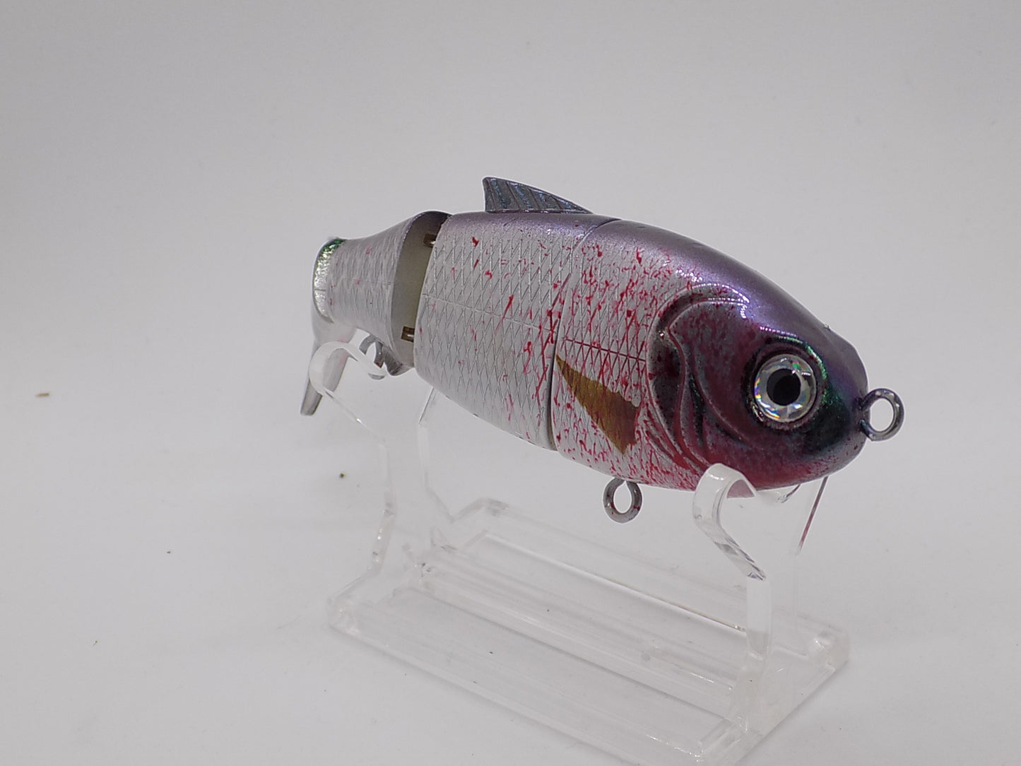 BLEEDING MULLET/ Baby bull