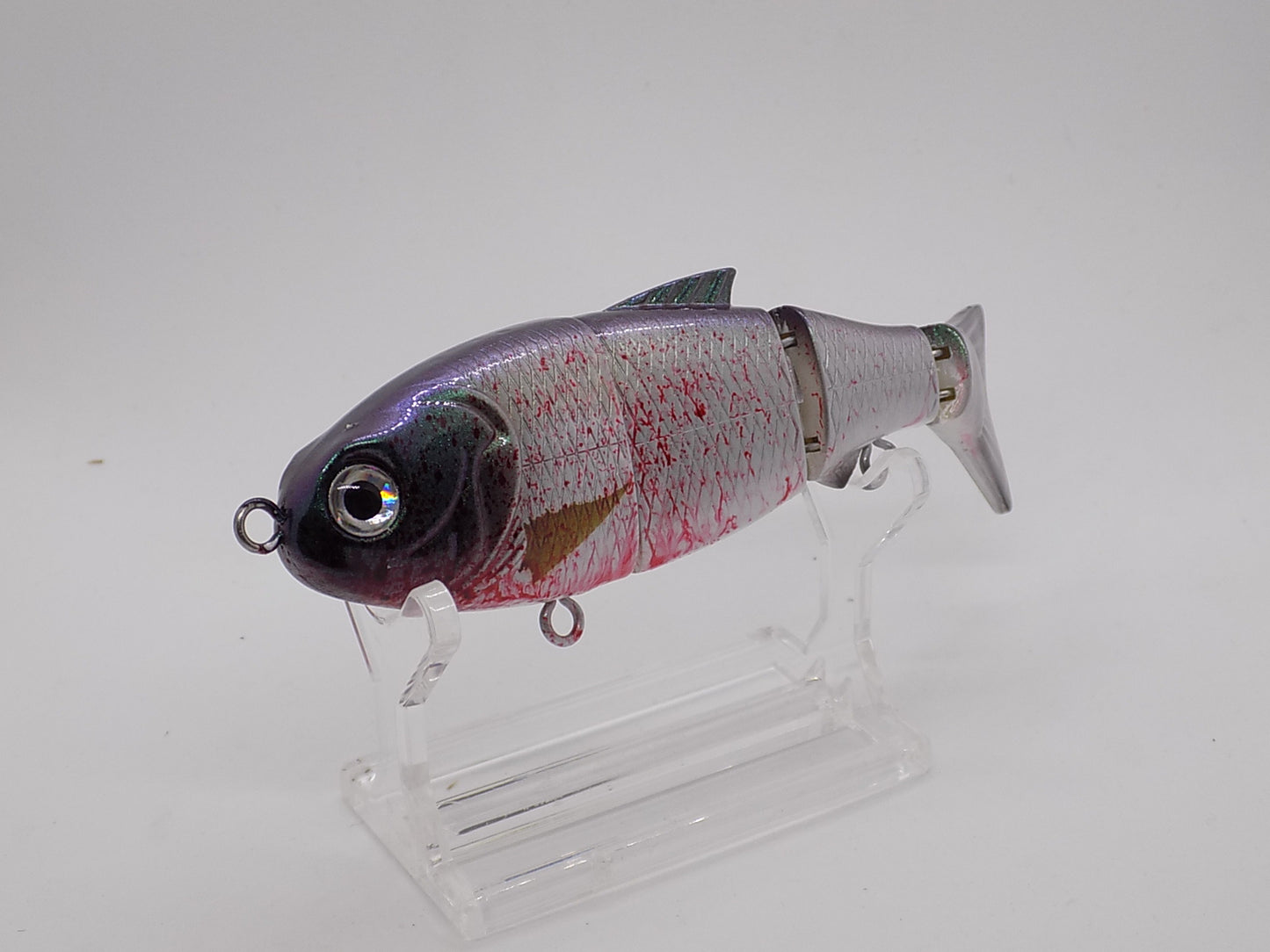 BLEEDING MULLET/ Baby bull