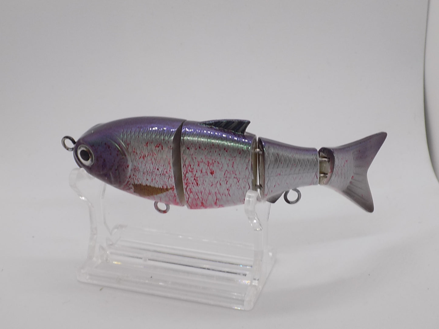BLEEDING MULLET/ Baby bull